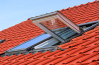 Greywell roof window